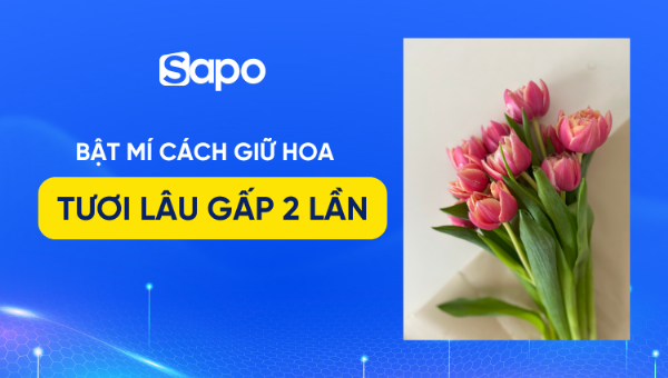 Cách chọn hoa hồng tươi, đảm bảo chất lượng, hoa tươi, cánh hoa không dập nát
