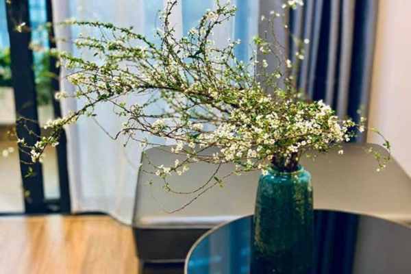 Bình hoa bỉ ngạn đỏ cắm theo phong cách tối giản, tôn lên vẻ đẹp ma mị của loài hoa