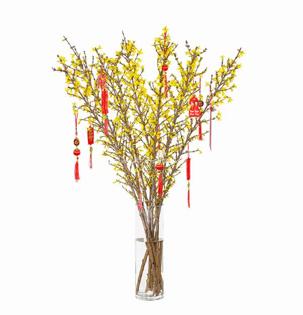 Bình hoa mai vàng rực rỡ được cắm khéo léo trong bình gốm trang trí ngày Tết