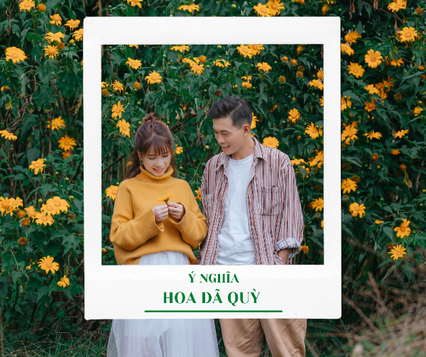 Cách cắm hoa quỳ đơn giản trong bình thủy tinh, tôn lên vẻ đẹp tự nhiên của hoa.