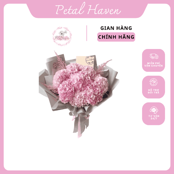 Hoa cẩm tú cầu hồng, biểu tượng của tình yêu lãng mạn, sự dịu dàng và lòng biết ơn