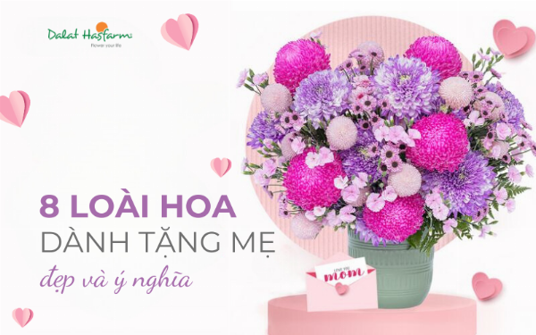 Hoa cẩm tú cầu tặng mẹ nhân ngày của mẹ để thể hiện lòng biết ơn và tình yêu thương.