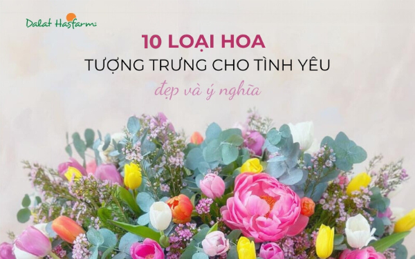 Bó hoa đinh hương đỏ rực rỡ tượng trưng cho tình yêu mãnh liệt và sự đam mê cháy bỏng.