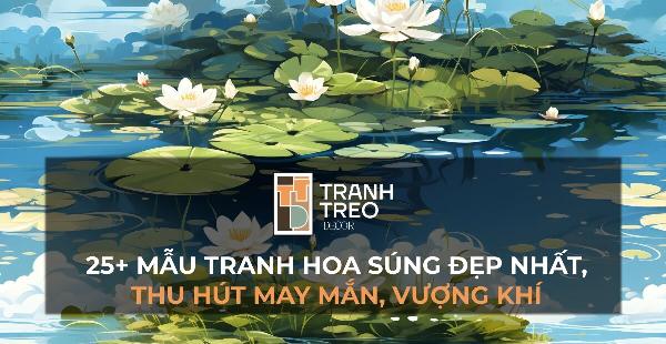 Hoa súng hồng nở rộ trên mặt nước, vẻ đẹp thanh tao, thuần khiết