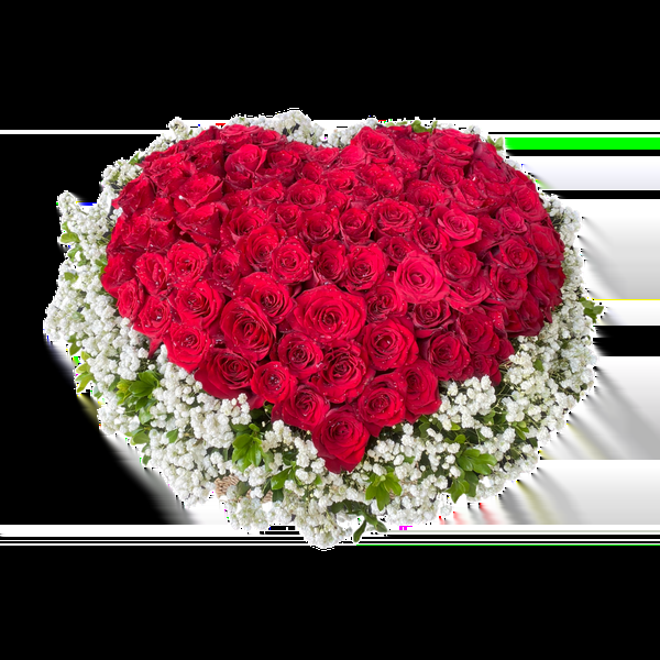 Ý nghĩa của 99 bông hồng tượng trưng cho tình yêu vĩnh cửu, một lời hứa bền vững.