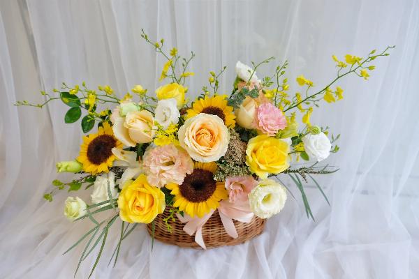 Ý nghĩa hoa quỳ luôn hướng về mặt trời, biểu tượng của lòng trung thành và hy vọng.